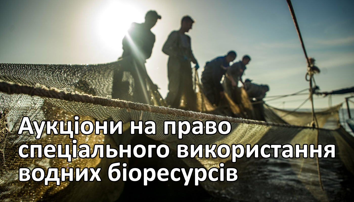 Аукціони